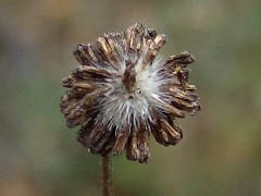 2005/11